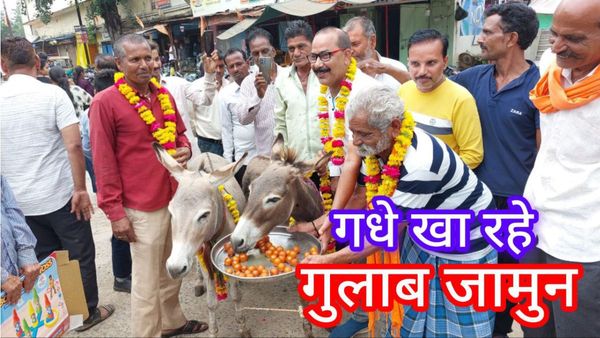 गधों का पहले फूल माला पहना कर हुआ स्वागत, फिर खिलाए जमकर गुलाबजामुन, वजह जान रह जाएंगे दंग