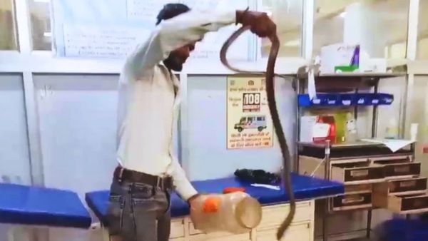 Mirzapur: सांप ने युवक को डसा तो पकड़ ली गर्दन, फिर बाइक से 30KM लेकर अस्पताल पहुंचा वो