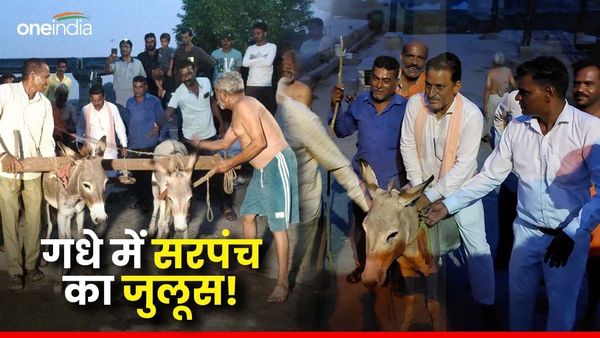 Mandsaur News: गांव वालों ने सरपंच को गधे में उल्टा बैठ कर निकाल जुलूस, शमशान घाट में ले जाकर किया यह काम