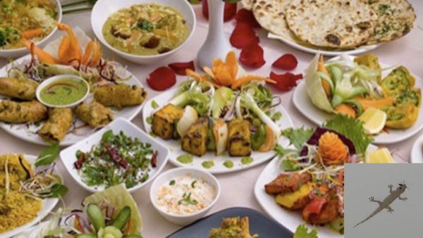 तेलंगाना के एक गर्ल्स हॉस्टल में छात्राओं को परोसे गए नाश्ते में निकली छिपकली, जानें फिर क्‍या हुआ?