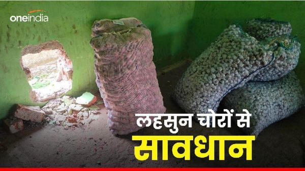 Sagar News: सब्जी मंडी की दुकान से 300 किलो लहसुन की चोरी, अदरक भी ले गए चोर