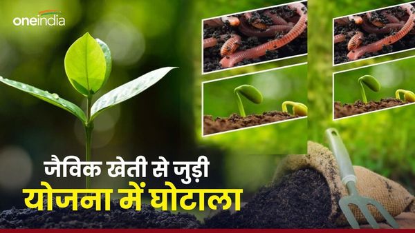 MP News: कृषि विभाग के अधिकारियों ने उगाई भ्रष्टाचार की फसल, जैविक खेती से जुड़ी योजना में घोटाला