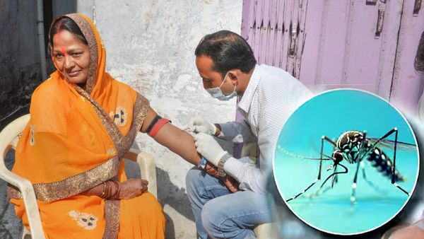 Zika Virus Guideline: महाराष्ट्र में जीका का प्रकोप! स्वास्थ्य मंत्रालय से जारी एडवाइजरी में क्‍या-क्‍या?