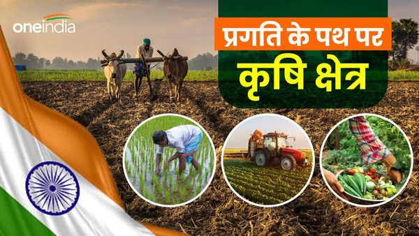 Independence Day 2024 Special: खाद्यान संकट से निकल कर विश्व को खाद्य सुरक्षा देने की ओर बढ़ चला है भारत