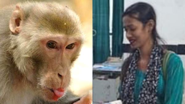 'बहुत गोरा-चिट्टा है', बागेश्वर धाम में बंदर की खूबसूरती पर मोहित हुई उड़ीसा की महिला