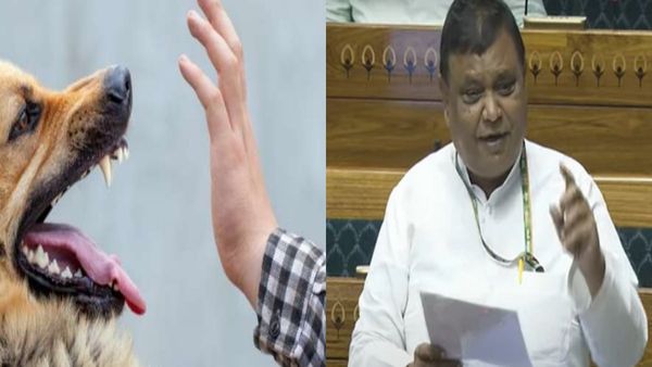 बीजेपी सांसद अतुल गर्ग का खुलासा- भारत में कुत्तों के काटने से 286 लोगों की हो चुकी है मौत, कर डाली ये डिमांड