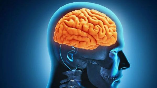 क्‍या है न्यूरो टेक्नोलॉजी? वर्किंग प्‍लेस पर इस डिवाइस के इस्‍तेमाल ने बढ़ाई ब्रेन डेटा को लेकर चिंता