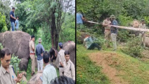 Chhatarpur News: एमपी में चौंकाने वाली घटना, पेड़ से बंधे मिले पुरुष और महिला के अधजले शव, मायके आई थी मृतक