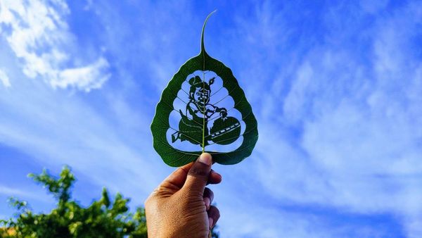 Janmashtami 2024: हरे पत्तों पर कन्हैया के माखन चोरी का लघु रूप देख लोग हुए हैरान, कला के लोग हुए मुरीद