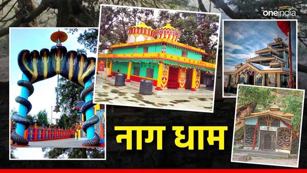 Nag Panchami 2024: उत्तराखंड में कहां-कहां हैं नाग धाम,काल सर्प दोष से यहां मिलती है मुक्ति