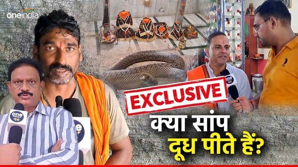Nag Pachami: क्या सांप पीते हैं दूध?, एक्सपर्ट, सपेरे और पुजारी ने बताई चौंकाने वाली सच्चाई