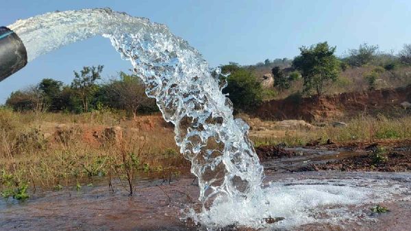 OPINION: भूजल स्तर संरक्षण की दिशा में पंजाब सरकार का बड़ा कदम, धान के खेती छोड़ने पर मिलेगा प्रोत्साहन