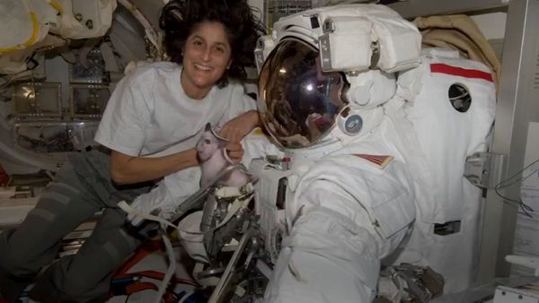 सुनीता विलियम्‍स अंतरिक्ष से 13 दिन में नहीं लौटीं तो NASA टाल देगा मिशन क्रू-9