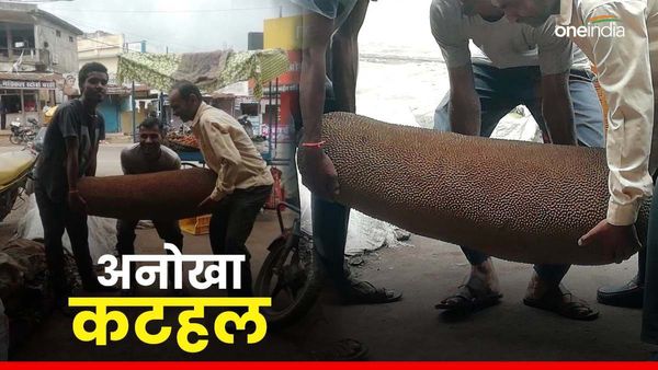 गजब! 45 किलो वजन, उठाने में लगे 4 लोग… कभी देखा है ऐसा कटहल?