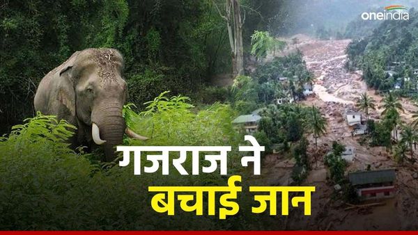 वायनाड में गजराज ने संभाला मोर्चा, तीन हाथियों ने पूरी रात खड़े होकर बचाई परिवार की जान