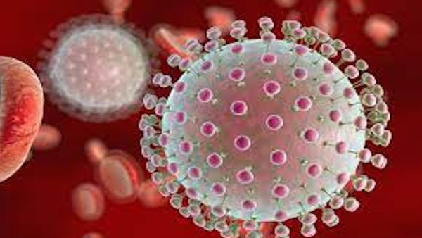 Zika Virus: बेंगलुरु में जीका संक्रमण के 5 नए मामले, स्वास्थ्य विभाग ने जारी किया अलर्ट