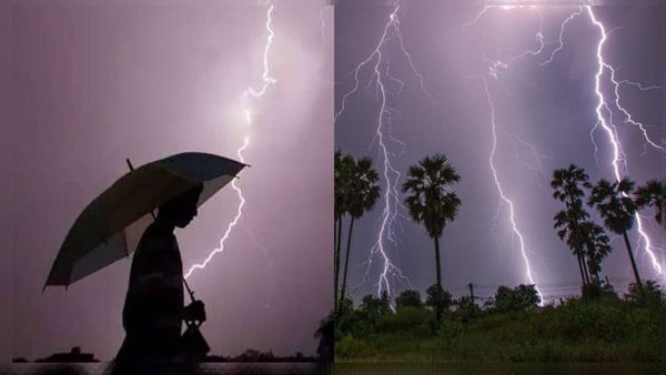 छत्तीसगढ़ में आसमानी आफत का कहर जारी, बिलासपुर में गर्भवती महिला की मौत, 24 घंटे में गई 10 जानें