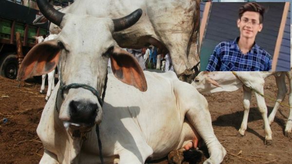 गो तस्करी के आरोप में 12वीं के छात्र की गोली मारकर हत्या, आखिर क्या हुआ था 23 अगस्त को?