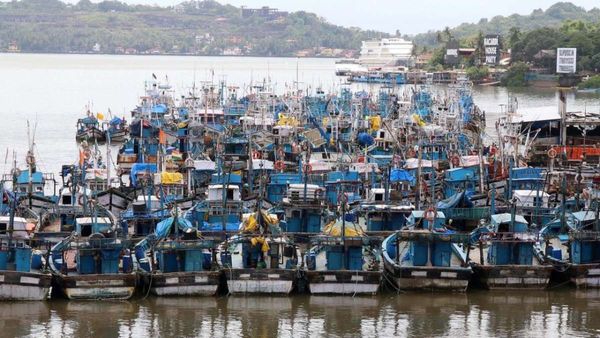 गोवा के कटबोना जेट्टी में डेंगू और हैजा का प्रकोप, 6 मछुआरों की मौत, स्वास्थ्य विभाग ने जारी की चेतावनी