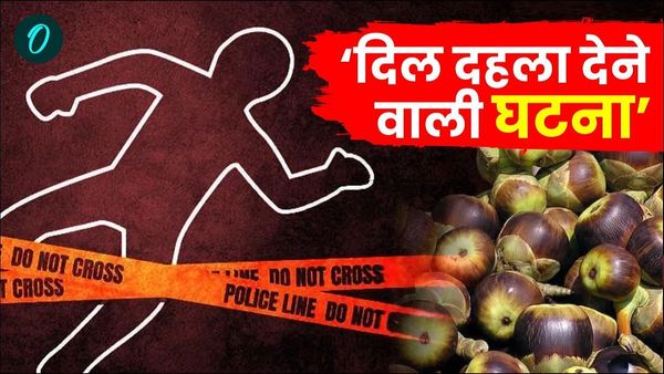 Begusarai News: 'फल चोरी करने से किया मना, गुस्साए मां-बेटे ने कर दिया सिर धर से अलग', जानिए पूरा मामला