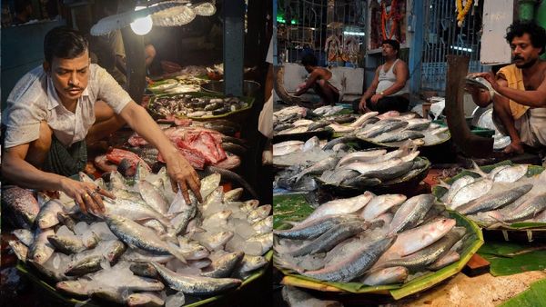 Hilsa fish: दुर्गा पूजा का उत्साह फीका करने पर आमादा बांग्लादेश, हिलसा के निर्यात पर बैन, फिर क्या जुगाड़ है?