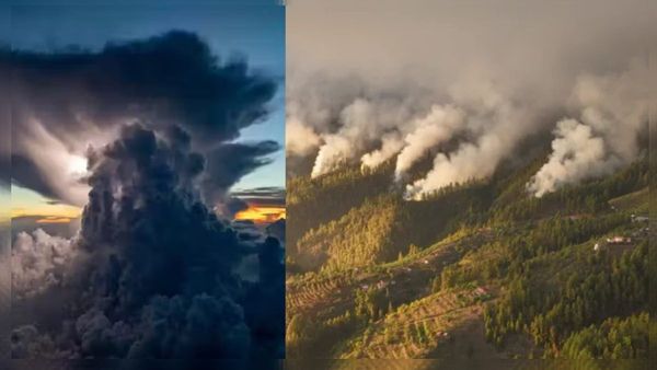 अगले 20 वर्षों में उष्णकटिबंधीय क्षेत्रों में तीव्र जलवायु परिर्वतन, लोग करेंगे बदलाव महसूस: अध्ययन