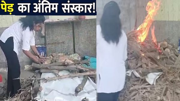 200 साल पुराने पेड़ का किया अंतिम संस्कार, मुजफ्फरपुर की शालू सैनी ने पेश की मिसाल