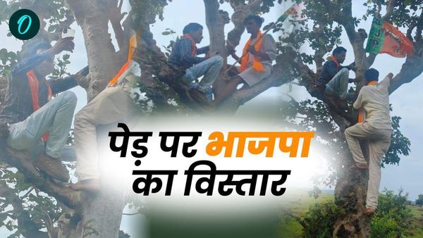 लो जी, नेटवर्क नहीं मिला तो पेड़ पर चढ़कर बनाने लगे बीजेपी के मेंबर, वीडियो वायरल हुआ तो खुल गई विकास की पोल