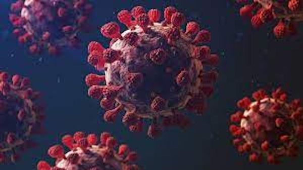 MPOX: मंकीपॉक्स को लेकर पटना एयरपोर्ट अलर्ट, हेल्थ डेस्क स्थापित