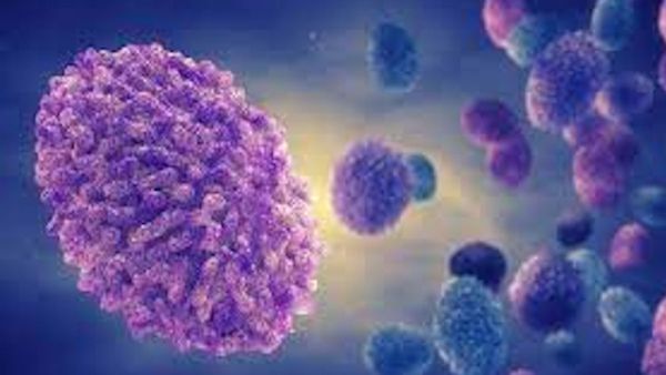 Monkeypox: भारत में मंकीपॉक्स के पहले केस की केंद्र की पुष्टि, नए स्ट्रेन को लेकर किया बड़ा दावा