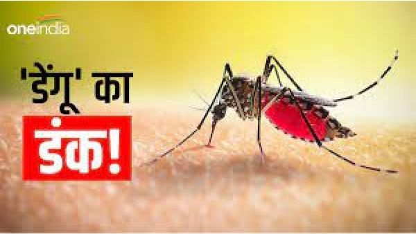 Indore News: इंदौर में जानलेवा हुआ डेंगू, अब तक इतने मरीजों ने दम तोड़ा