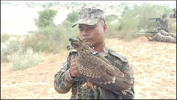 Rajasthan: भारतीय सेना का अर्जुन बाज, बीकानेर में भारत-अमेरिका के संयुक्त सैन्य अभ्यास में सामने आई तस्वीर ?