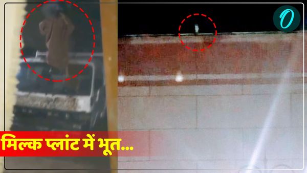 'मिल्क प्लांट में भूत...', Viral Video बना चर्चा का विषय, कोई अफवाह तो कोई बता रहा सच, जानें पूरा मामला