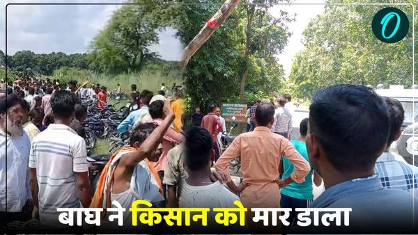 Pilibhit News: खेत की रखवाली कर रहे किसान को बाघ ने मार डाला, वन्यजीवों की वजह से कई गांवों में दहशत