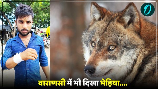 UP Wolf News: वाराणसी में भी भेड़िये दिखने का दावा, युवक के साथ ही मवेशियों पर किया हमला, दहशत में ग्रामीण