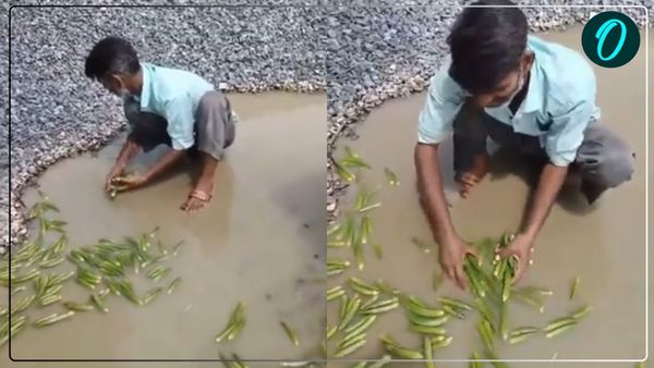 गंदे पानी में सब्जी धो रहा था 'नौशाद', राहगीर ने Video बनाकर किया वायरल, जानिए पुलिस ने क्या कहा?