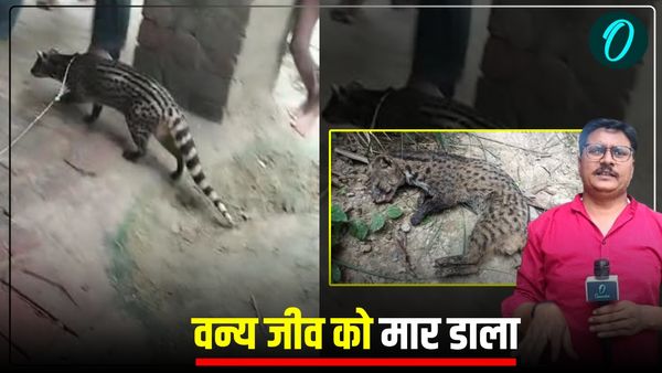 वाराणसी में ग्रामीणों ने जंगली जानवर को पीट-पीटकर मार डाला, रात में पकड़ा, फोटो खींचे और फिर ले ली जान