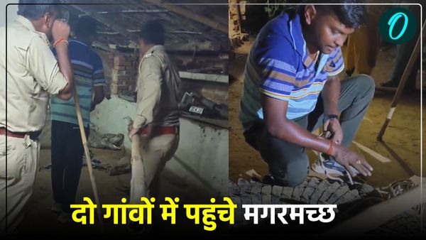 Mirzapur UP News: दो गांवों में पहुंचे मगरमच्छ, ग्रामीण डरे, वन विभाग ने कड़ी मशक्कत के बाद किया रेस्क्यू