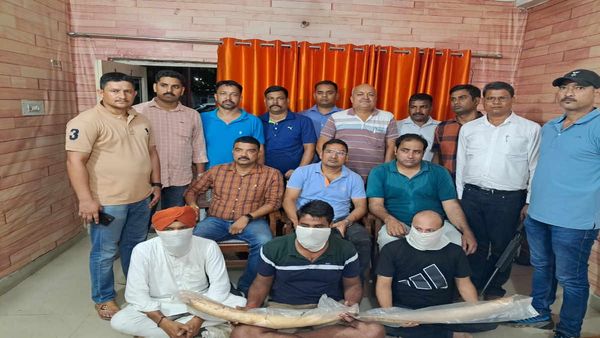 यूपी के बरेली से लाखों रुपए के कीमती दो हाथी दांत के साथ 03 अन्तर्राज्यीय वन्यजीव तस्कर गिरफ्तार
