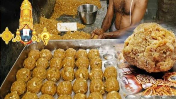 सीएम नायडू ने तिरुपति लड्डू में पशु चर्बी के इस्‍तेमाल का लगाया आरोप, VHP ने कड़ी कार्रवाई की उठाई मांग