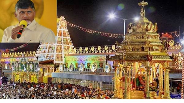 'तिरुपति मंदिर के प्रसाद के लड्डू में एनिमल फैट' चंद्रबाबू नायडू का सनसनीखेज दावा