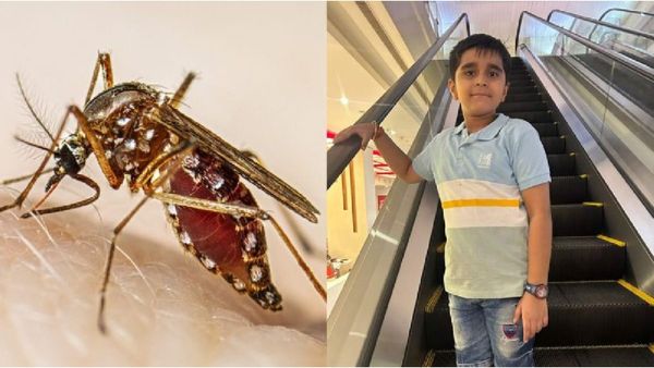 डेंगू का हॉटस्पॉट बना ग्वालियर; इकलौते बेटे की गई जान, अबतक 5 की मौत, 1000 हजार से अधिक हुई संख्या