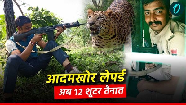 Rajasthan: उदयपुर में आदमखोर हुआ तेंदुआ, वन विभाग ने तैनात किए 12 शूटर