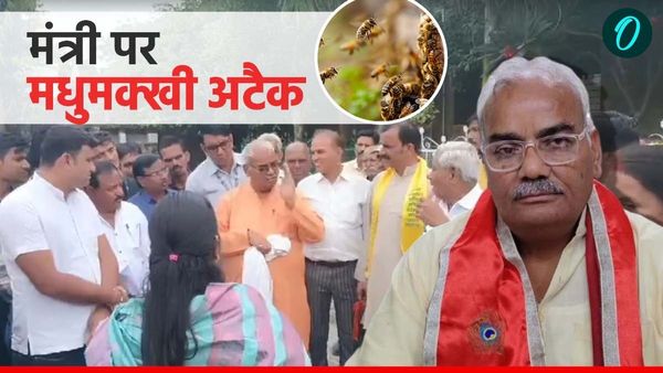 Rajasthan: शिक्षा मंत्री मदन दिलावर पर मधुमक्खी ने किया हमला, फिर देखिए क्या हुआ मौके पर