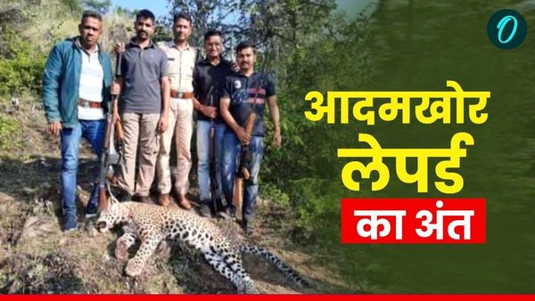 Udaipur Leopard News: आदमखोर लेपर्ड का ऐसे हुआ अंत, देखते ही गोली मारने के क्यों दिए थे आदेश ?