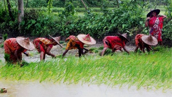 ओडिशा ने धान की खरीद के समय राज्य की सीमाएं सील करने का क्यों लिया फैसला?