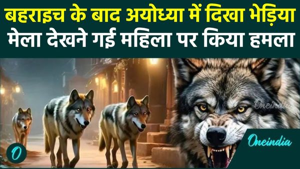 Wolf in UP: बहराइच के बाद अब अयोध्या में दिखा भेड़िया, मेला देखकर लौट रही महिला पर किया हमला