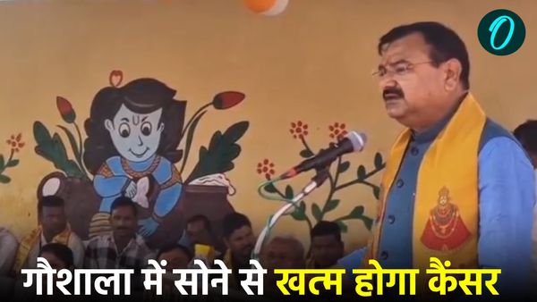'गौशाला में सोने से खत्म होगा कैंसर', बोले मंत्री संजय गंगवार, गाय को सहलाने से कंट्रोल होगा BP 
