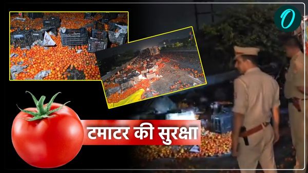 UP News: पुलिस को रातभर करनी पड़ी टमाटरों की रखवाली, चुराने की फिराक में झाड़ियों में छिपे रहे ग्रामीण