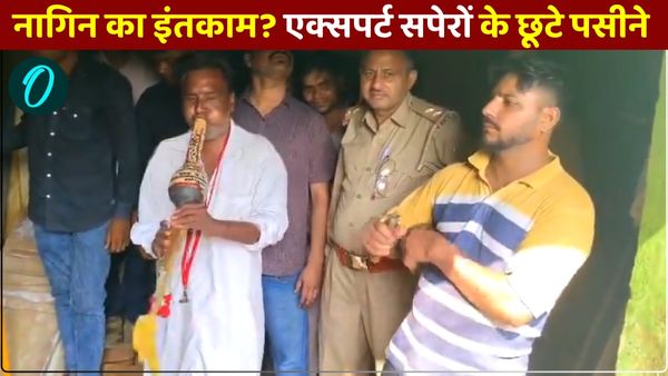 Hapur News: 'नागिन ले रही बदला', चुन-चुन कर लोगों को डस रही, मेरठ के एक्सपर्ट सपेरों के भी छूटे पसीने 